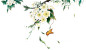 01e3f05b37947aa80120b9595c6685