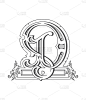 向量设计关于黑白字母D