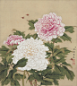 古画-花卉参考