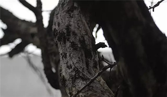 文人空间式营造-设计中国