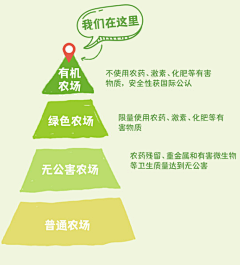zhuhuiyi采集到详情-金字塔展示