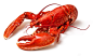 Lobster side: 1 thousand results found in Yandex Images