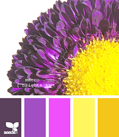 箫澜采集到色彩搭配-紫色