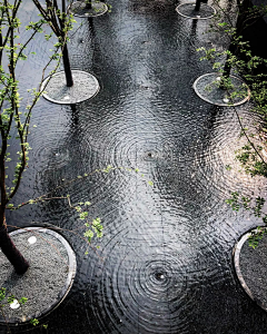 Rainy子衣采集到Water Feature