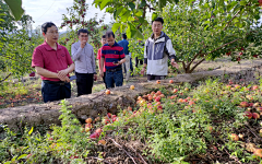 marcotg64采集到意向 情景