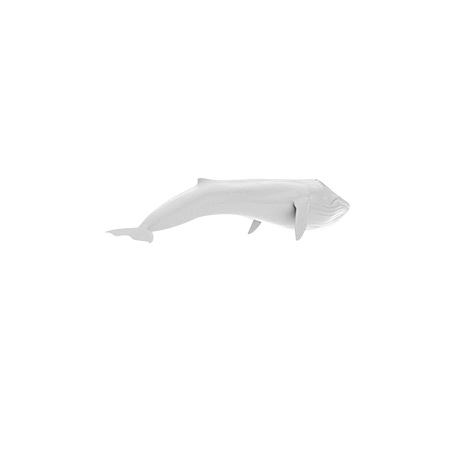 鲸鱼海豚pngPNG漂浮物素材PNG漂浮...