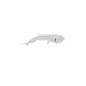 鲸鱼海豚pngPNG漂浮物素材PNG漂浮物素材design