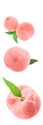 水蜜桃 桃子 粉色 