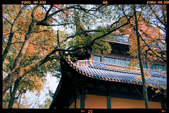 BeataLeung采集到A…灵隐寺