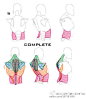 #莫那CG绘画学院# 轻松get到人体背部的肌肉构成与刻画要点！图片来自强大の网络，转需