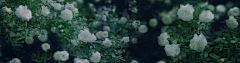 子小爽采集到背景—banner