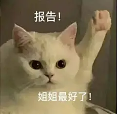 报告这里有十七张表情包​​​