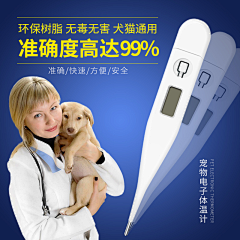 胖酱你要万福喔采集到宠物/主图