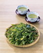 看杯盏茶心，茶遇水是缘，亦如人生之情缘。