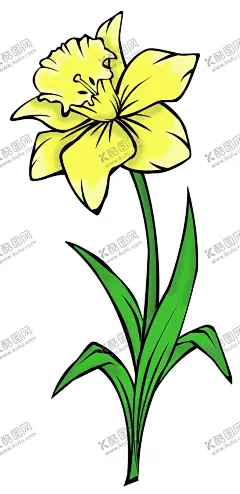 水仙 【酷图网】水仙,花朵,简笔画,免抠,绿色