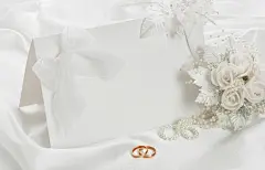 婚礼贺卡与戒指|婚礼贺卡与戒指图片素材下载,婚礼贺卡与戒指图片,结婚戒指,对戒,婚礼贺卡,卡片,玫瑰花,珍珠项链,首饰,温馨浪漫背景,其它类别,背景花边,图片素材,底纹,背景元素