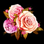抽象矢量玫瑰花卉的设计元素，花卉图片大全大图，花卉大全，花卉图片大全，花卉卡片图片素材，紫色玫瑰元素设计插图