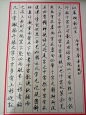 硬笔行楷书法