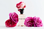 Louis Vuitton – Les Parfums