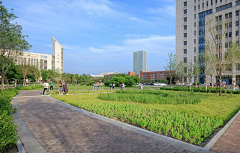 我的名字叫阿鸡采集到LANDSCAPE---海绵城市
