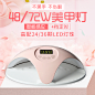 东莞新起