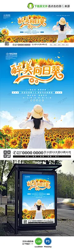向日葵