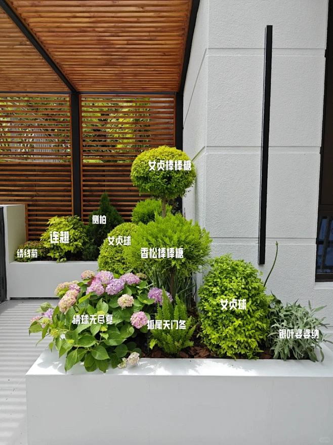 低维护花池植物搭配-花瓣网