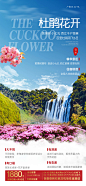【素材能量站】海报 旅游 贵州 黄果树瀑布 荔波 荔波小七孔 西江千户苗寨 景点 风景|316874 