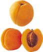 Apricot PNG