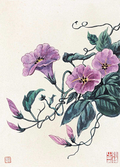 黑咖啡喝到醉采集到绘画——平面插图