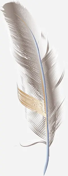 手绘羽毛高清素材 彩绘 手绘 手绘羽毛 插画 羽毛 高清壁纸 免抠png 设计图片 免费下载