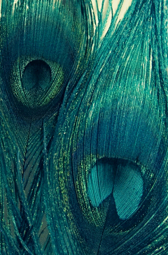 槐花下采集到素材 背景/蓝色绿色