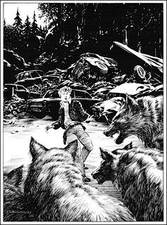 -YAOYAOO-采集到Bernie Wrightson