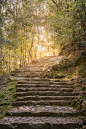 (20) Pinterest