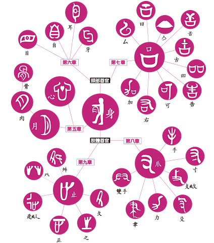 科學的漢字‧漢字的科學 ──《漢字樹２：...