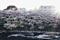 春 ，日本｜摄影师Takashi Yasui - 风光摄影 - CNU视觉联盟