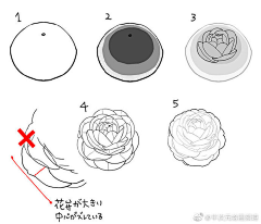 露露缇雅泽金采集到花
