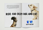 Battersea : Brand strategy, tone of voice and visual identity for one of​ ​Britain's​ ​oldest and most famous animal rescue centres.