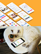 Products : The new social network for Pet Lovers. You can share photos and videos of your pets, find the cutest pets around the world. Tracks your pets’ (dogs and cats) location (alerts you if your pet go out of safe range), activity, sleep quality and ca