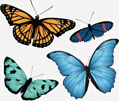 手绘4只彩色蝴蝶高清素材 手绘 绿色蝴蝶 蓝色蝴蝶 蝴蝶翅膀 黄色蝴蝶 免抠png 设计图片 免费下载