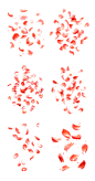 素材组合-浪漫玫瑰花瓣1