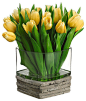 Silk Tulip Arrangement, Yellow traditional-artificial-flowers-plants-and-trees