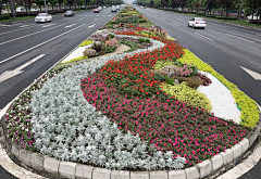 WL景观采集到道路景观