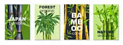 四幅垂直写实的竹海报,以日本竹林有机和自然龙血树为标题的向量插图