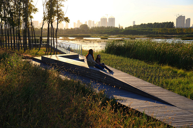水弹性绿地：哈尔滨文化中心湿地公园——土...