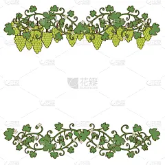 葡萄,洋葱花,葡萄树叶,华丽的,自然,食品,艺术,设计,装饰,复古