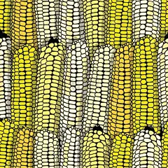 分离着色,食品,玉米,植物,背景,农业,有机食品,自然,素食,图像