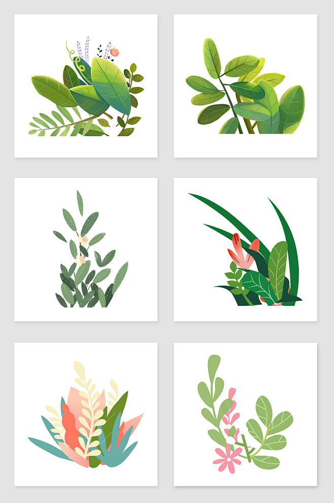植物插画1