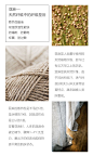 点击查看图片来源