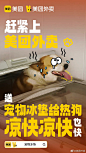 @美团外卖 的个人主页 - 微博